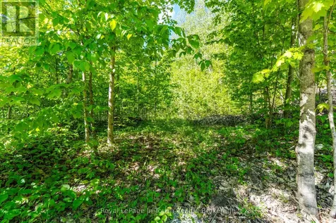 1536 Champlain Road Tiny ON L9M 0C1