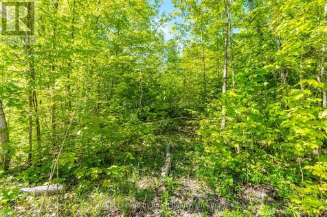 1536 Champlain Road Tiny ON L9M 0C1