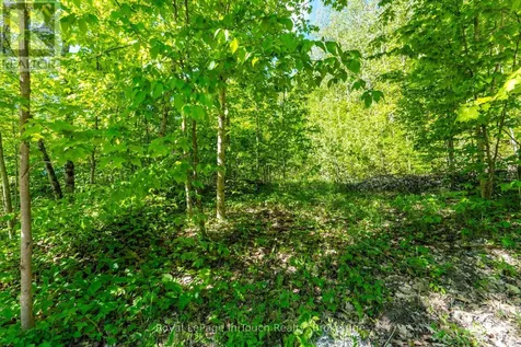 1536 Champlain Road Tiny ON L9M 0C1