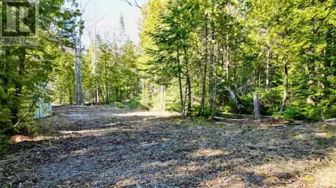 717 Spry Road Northern Bruce Peninsula ON N0H 1W0