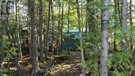 717 Spry Road Northern Bruce Peninsula ON N0H 1W0