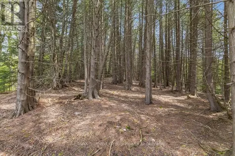 Pt Lt 2 Lakewood Lane Grey Highlands ON N0C 1H0
