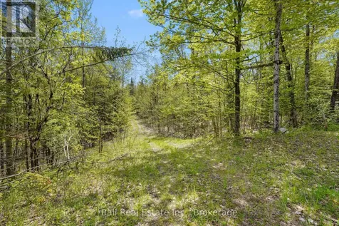 174 Moon Line Road North Trent Lakes ON K0M 1A0