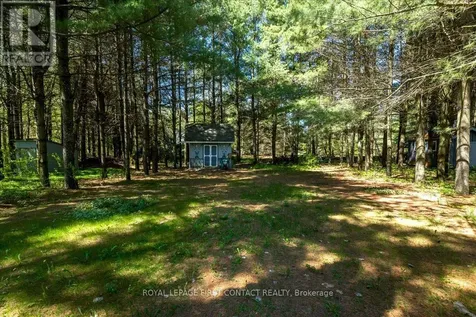 6 Martyn Drive Wasaga Beach ON L9Z 1N4