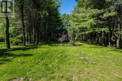 6 Martyn Drive Wasaga Beach ON L9Z 1N4