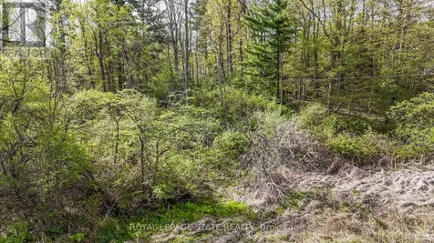 0 Mineral Springs Road Hamilton ON L9G 4X1