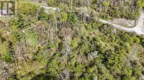 0 Mineral Springs Road Hamilton ON L9G 4X1