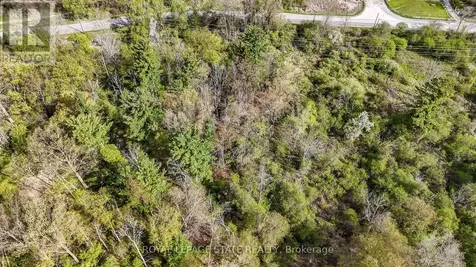 0 Mineral Springs Road Hamilton ON L9G 4X1