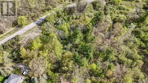 0 Mineral Springs Road Hamilton ON L9G 4X1