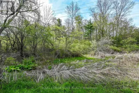 0 Mineral Springs Road Hamilton ON L9G 4X1