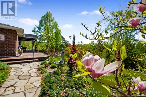 3625 Alnwick Hill Road Hamilton Township ON K0K 1C0