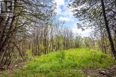 135220 Concession Road 8 Road Chatsworth ON N0H 1K0