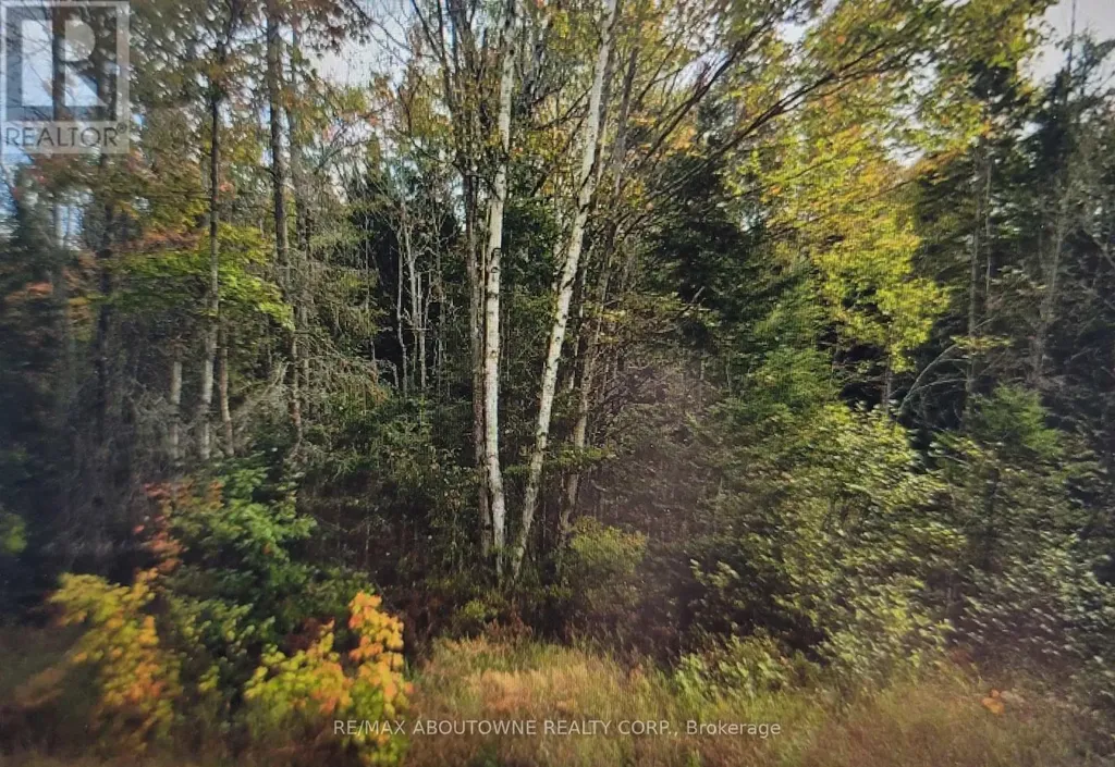 780 Lot 8 520n Highway Whitestone ON P0A 1G0