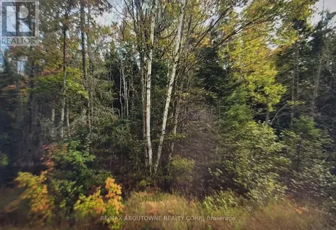 780 Lot 8 520n Highway Whitestone ON P0A 1G0