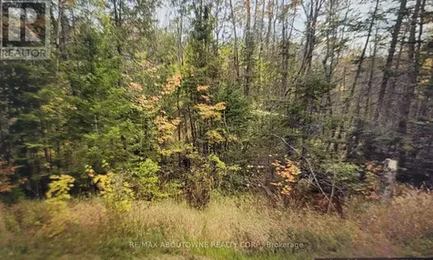 780 Lot 8 520n Highway Whitestone ON P0A 1G0
