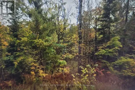 780 Lot 7 520n Highway Whitestone ON P0A 1G0