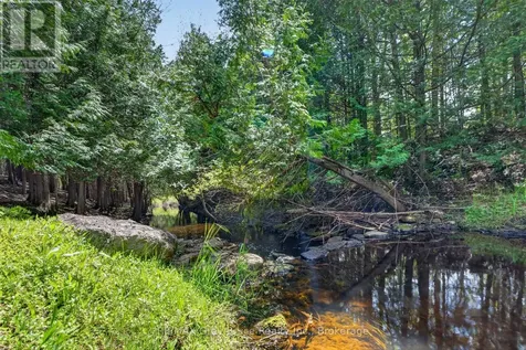 259106 Sarawak Keppel Townline West Georgian Bluffs ON N0H 1S0