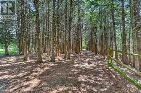 259106 Sarawak Keppel Townline West Georgian Bluffs ON N0H 1S0