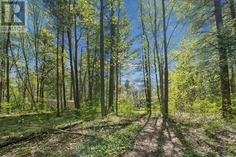 48 Deer Lane Adjala-tosorontio ON L0M 1J0