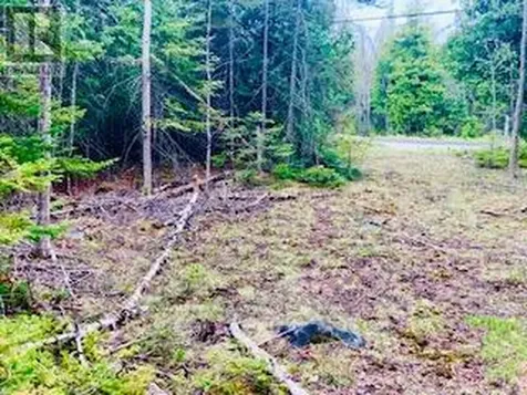 Lot 43 Warner Bay Road Northern Bruce Peninsula ON N0H 2R0