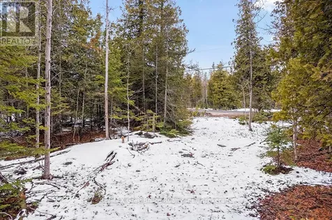 Lot 43 Warner Bay Road Northern Bruce Peninsula ON N0H 2R0