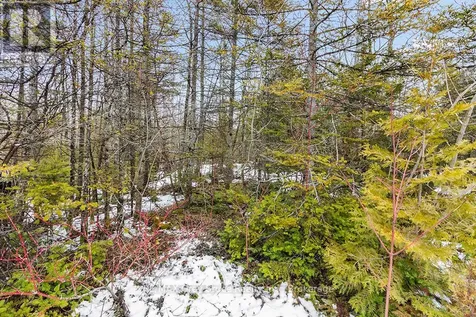 Lot 43 Warner Bay Road Northern Bruce Peninsula ON N0H 2R0