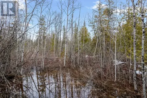 Lot 43 Warner Bay Road Northern Bruce Peninsula ON N0H 2R0