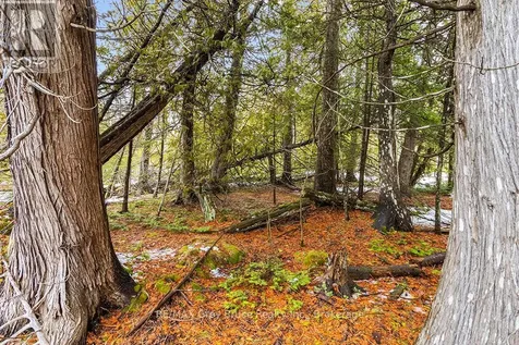 Lot 43 Warner Bay Road Northern Bruce Peninsula ON N0H 2R0