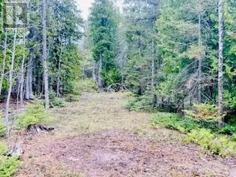 Lot 43 Warner Bay Road Northern Bruce Peninsula ON N0H 2R0