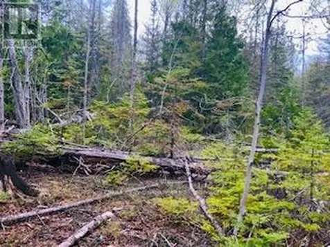 Lot 43 Warner Bay Road Northern Bruce Peninsula ON N0H 2R0