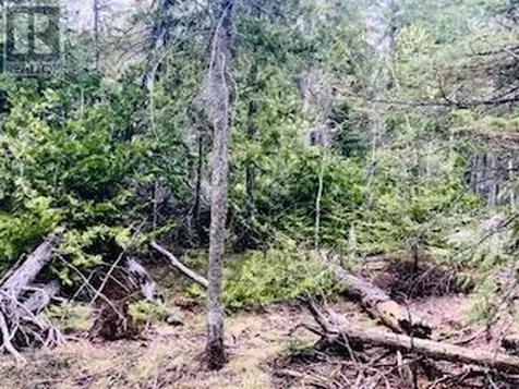 Lot 43 Warner Bay Road Northern Bruce Peninsula ON N0H 2R0