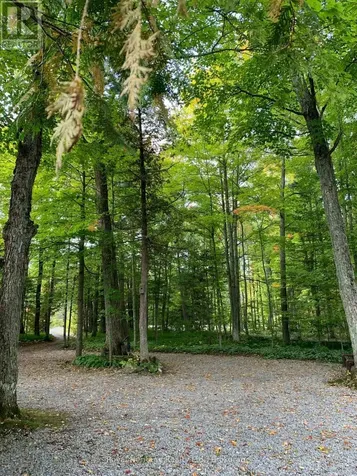 1193 Lakehurst Road Trent Lakes ON K0L 1J0