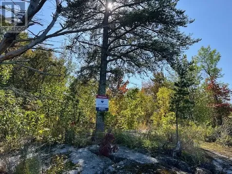 G 734 Rainy Lake Fort Frances ON P9A 3M3