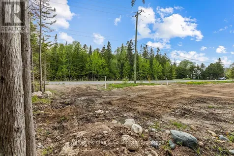 Turner Street Saugeen Shores ON N0H 2L0