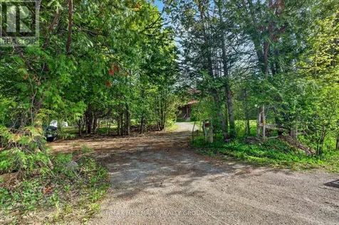 1259 Webster Road Douro-dummer ON K0L 2V0