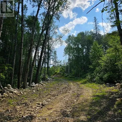 1261 Snake Creek Road Mattawan ON P0H 1V0