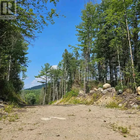 1261 Snake Creek Road Mattawan ON P0H 1V0