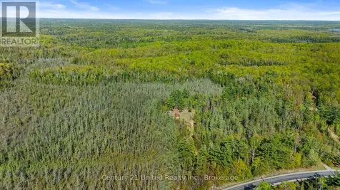 573 Jack Lake Road North Kawartha ON K0L 1A0