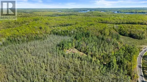 573 Jack Lake Road North Kawartha ON K0L 1A0