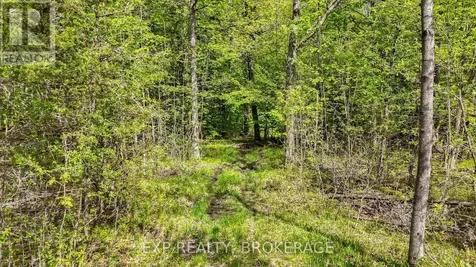 Pt Lt 10 Bush Road Rideau Lakes ON K0G 1E0