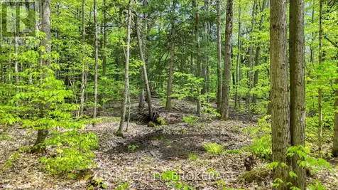 Pt Lt 10 Bush Road Rideau Lakes ON K0G 1E0