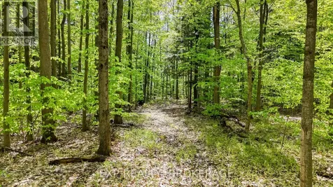 Pt Lt 10 Bush Road Rideau Lakes ON K0G 1E0