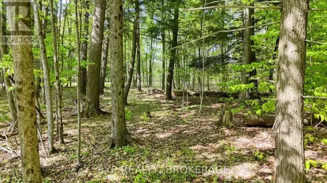 Pt Lt 10 Bush Road Rideau Lakes ON K0G 1E0