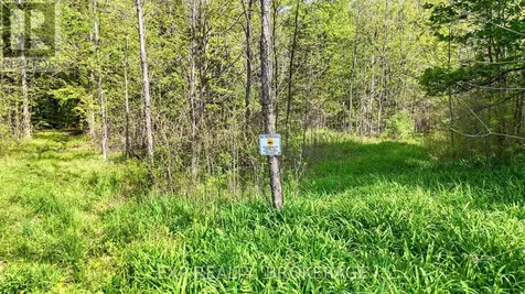 Pt Lt 10 Bush Road Rideau Lakes ON K0G 1E0