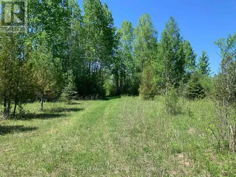00 Bolton Road Merrickville-wolford ON K0G 1R0