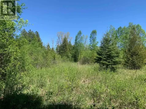00 Bolton Road Merrickville-wolford ON K0G 1R0