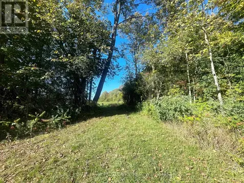 00 Jamieson Road North Port Hope ON L1A 3V8