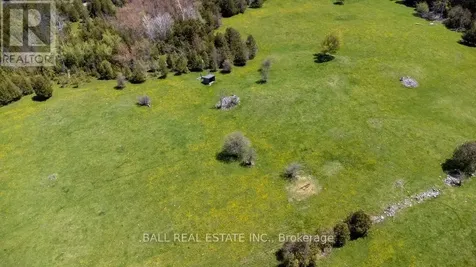 4131 County Road 32 Douro-dummer ON K0L 2H0