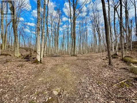 Pt Lt 6 Bruce Road 9 Road Northern Bruce Peninsula ON N0H 1W0