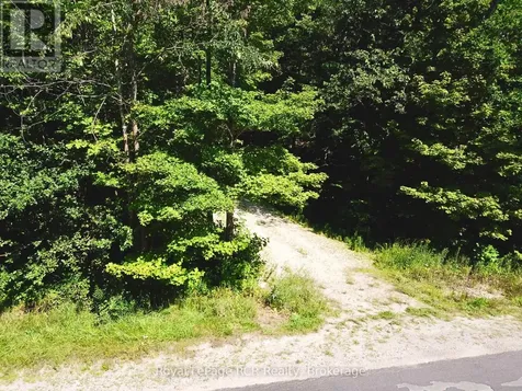 Pt Lt 6 Bruce Road 9 Road Northern Bruce Peninsula ON N0H 1W0